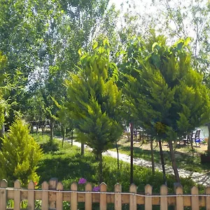 Deniz Kizi Garden Gümüldür